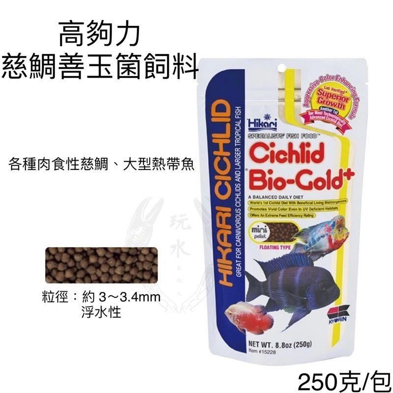 「玩水養蝦人」慈鯛增豔飼料 高夠力 Hikari 慈鯛 沉水 熱帶魚 草食性 肉食性 非洲慈鯛 羅漢 增豔 色揚-細節圖3