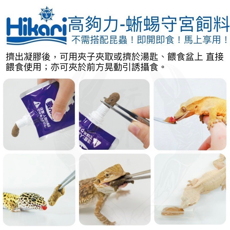 「玩水養蝦人」蜥蜴守宮飼料 高夠力 Hikari 凝膠飼料 高營養 守宮 果泥 鬆獅蜥 食蟲 食果 雜食 爬蟲 蜜袋鼯-細節圖2