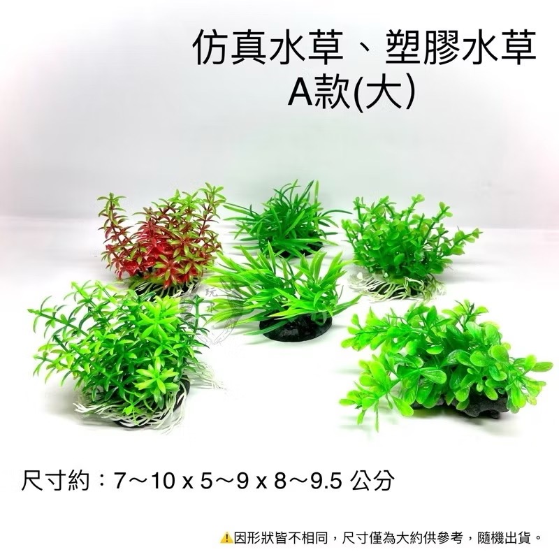 「玩水養蝦人」仿真水草 塑膠水草 仿真 躲藏 造景 水草 螯蝦 假草 假花 鼠魚 裝飾品 兩棲 爬蟲 角蛙 短鯛-規格圖3