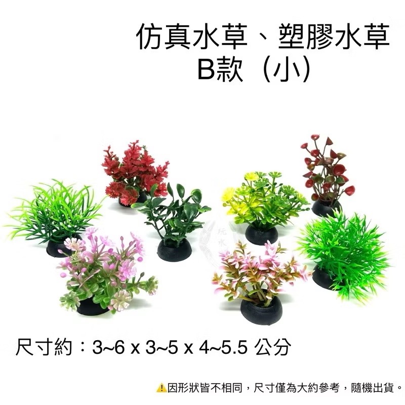 「玩水養蝦人」仿真水草 塑膠水草 仿真 躲藏 造景 水草 螯蝦 假草 假花 鼠魚 裝飾品 兩棲 爬蟲 角蛙 短鯛-規格圖3