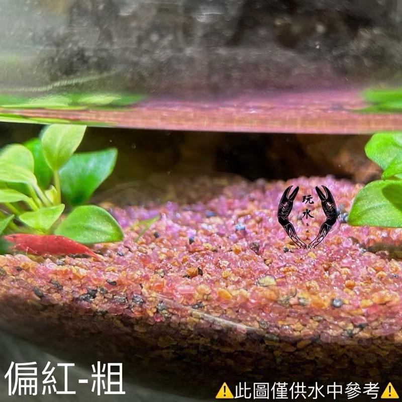 「玩水養蝦人」熱帶雨林砂 雨林砂 雨林沙 細沙 細砂 鼠魚砂 底砂 底沙 熱帶雨林 園藝 花盆 造景 水族造景 鼠魚-細節圖3