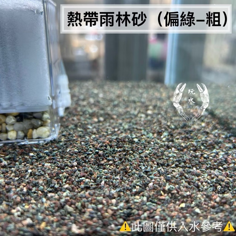 「玩水養蝦人」熱帶雨林砂 雨林砂 雨林沙 細沙 細砂 鼠魚砂 底砂 底沙 熱帶雨林 園藝 花盆 造景 水族造景 鼠魚-細節圖5
