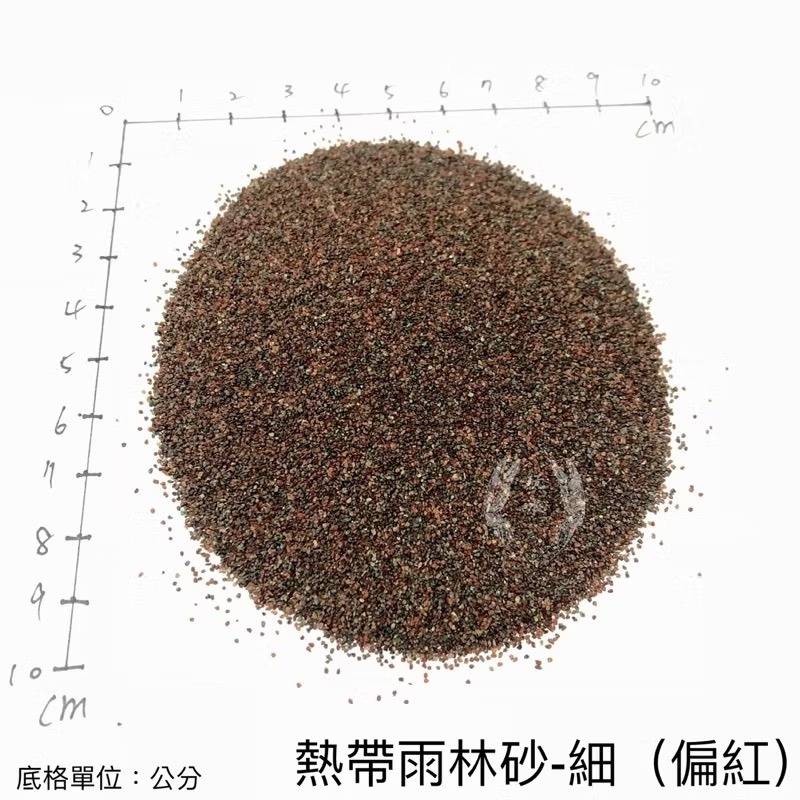 「玩水養蝦人」熱帶雨林砂 雨林砂 雨林沙 細沙 細砂 鼠魚砂 底砂 底沙 熱帶雨林 園藝 花盆 造景 水族造景 鼠魚-細節圖6