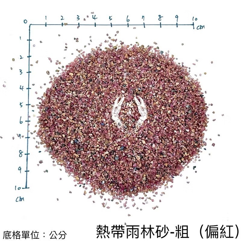 「玩水養蝦人」熱帶雨林砂 雨林砂 雨林沙 細沙 細砂 鼠魚砂 底砂 底沙 熱帶雨林 園藝 花盆 造景 水族造景 鼠魚-細節圖7