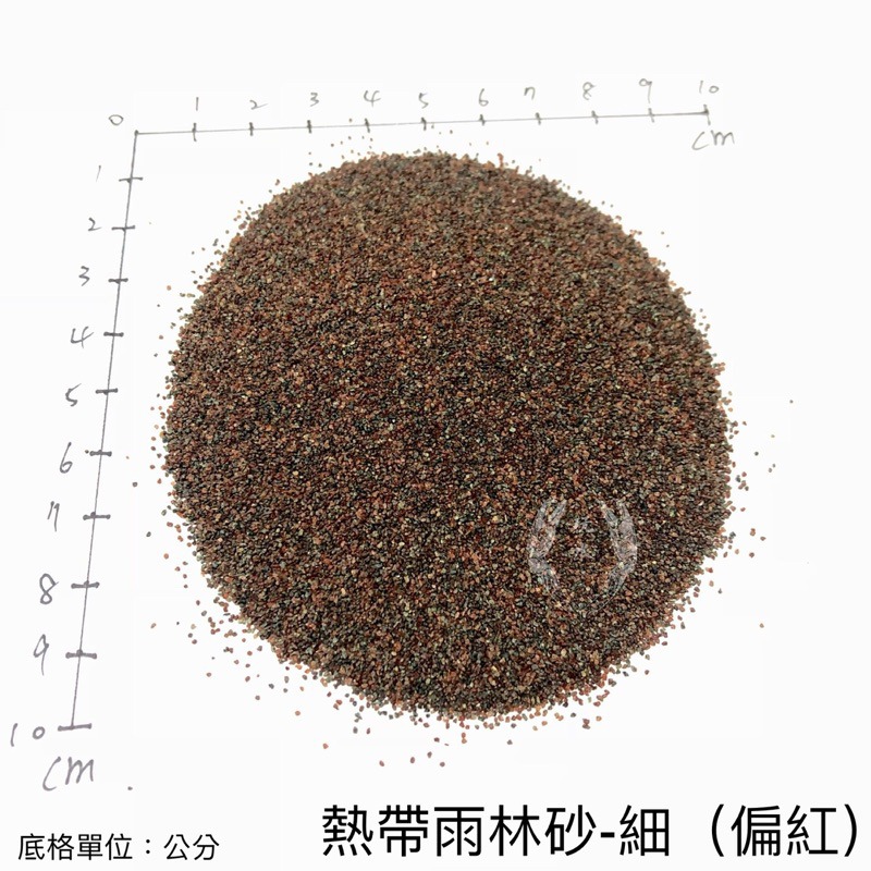 「玩水養蝦人」熱帶雨林砂 雨林砂 雨林沙 細沙 細砂 鼠魚砂 底砂 底沙 熱帶雨林 園藝 花盆 造景 水族造景 鼠魚-細節圖4