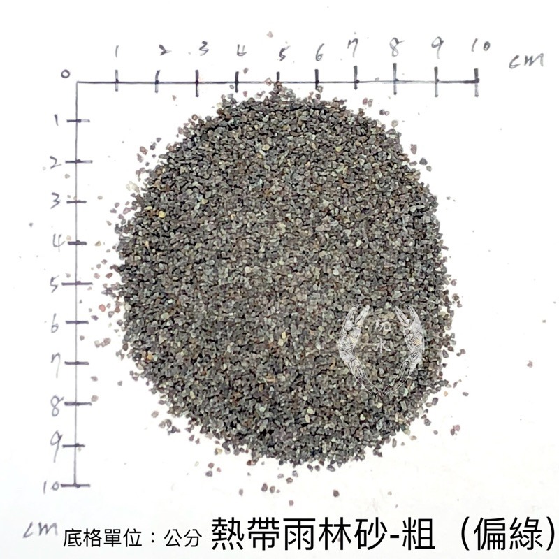 「玩水養蝦人」熱帶雨林砂 雨林砂 雨林沙 細沙 細砂 鼠魚砂 底砂 底沙 熱帶雨林 園藝 花盆 造景 水族造景 鼠魚-細節圖5