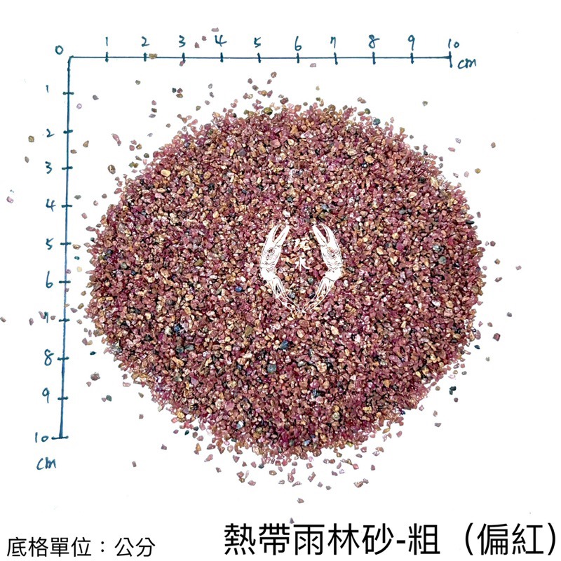 「玩水養蝦人」熱帶雨林砂 雨林砂 雨林沙 細沙 細砂 鼠魚砂 底砂 底沙 熱帶雨林 園藝 花盆 造景 水族造景 鼠魚-細節圖6