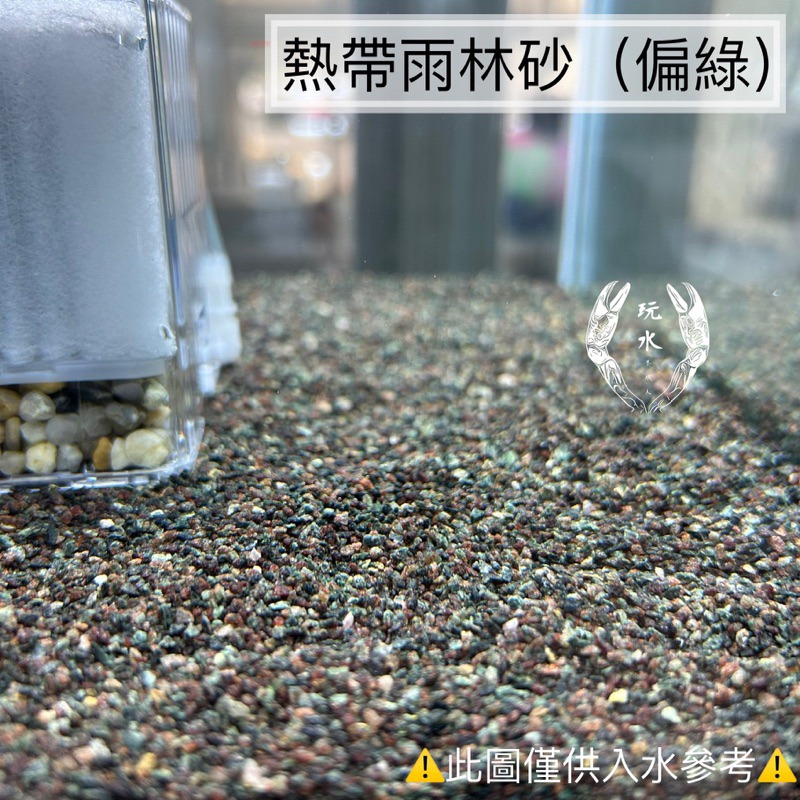 「玩水養蝦人」熱帶雨林砂 雨林砂 雨林沙 細沙 細砂 鼠魚砂 底砂 底沙 熱帶雨林 園藝 花盆 造景 水族造景 鼠魚-細節圖7