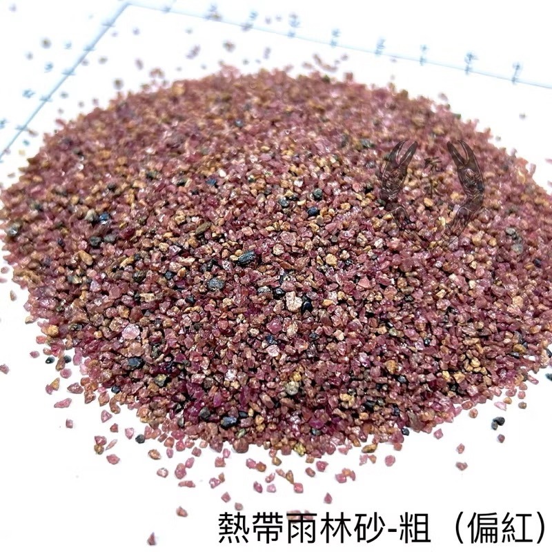 「玩水養蝦人」熱帶雨林砂 雨林砂 雨林沙 細沙 細砂 鼠魚砂 底砂 底沙 熱帶雨林 園藝 花盆 造景 水族造景 鼠魚-規格圖9