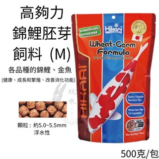 錦鯉「錦金-M」500克