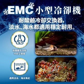 「玩水養蝦人」小型冷卻機 EMC 欣茂 SHINMAO 冷水機 降溫 製冷晶片 海水 水草 水晶蝦 米蝦 螯蝦 冷水-細節圖5