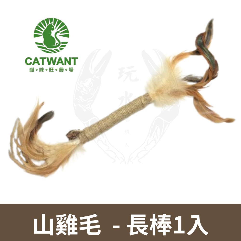 山雞毛長棒-1入