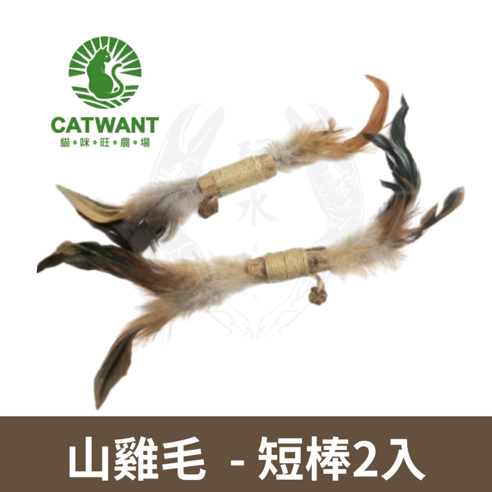 「玩水養蝦人」貓咪旺農場 木天蓼麻繩抓抓棒  抓抓棒 木天蓼 麻繩 抓抓棒 拉菲草山雞毛 紓壓玩具 蟲癭果 貓咪紓壓-規格圖5