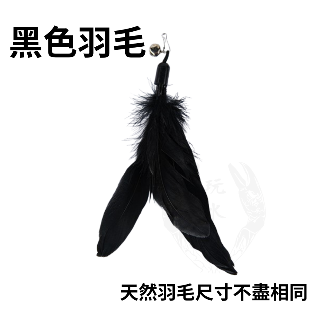 「玩水養蝦人」逗貓棒替換頭 羽毛替換頭 貓咪逗貓棒 逗貓棒 逗貓 羽毛 寵物玩具 貓玩具 寵物用品 寵物配件-規格圖5