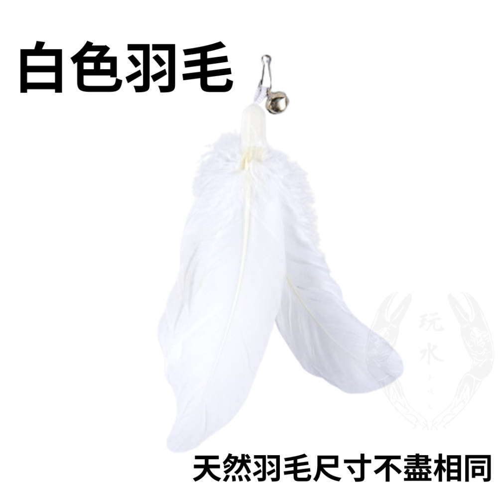 「玩水養蝦人」逗貓棒替換頭 羽毛替換頭 貓咪逗貓棒 逗貓棒 逗貓 羽毛 寵物玩具 貓玩具 寵物用品 寵物配件-規格圖5
