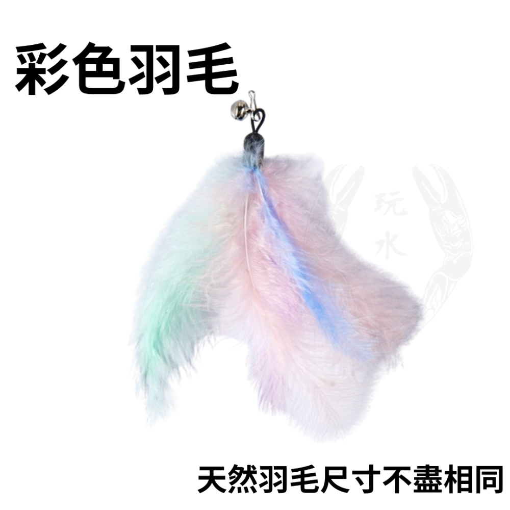 「玩水養蝦人」逗貓棒替換頭 羽毛替換頭 貓咪逗貓棒 逗貓棒 逗貓 羽毛 寵物玩具 貓玩具 寵物用品 寵物配件-規格圖5