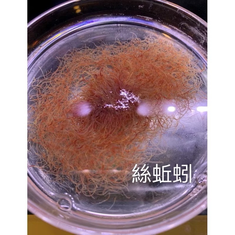 「玩水養蝦人冷凍飼料 伯洋 冷凍餌料 飼料 觀賞魚 豐年蝦 磷蝦 糠蝦 橈足 輪蟲 赤蟲 紅蟲 絲蚯蚓-細節圖8