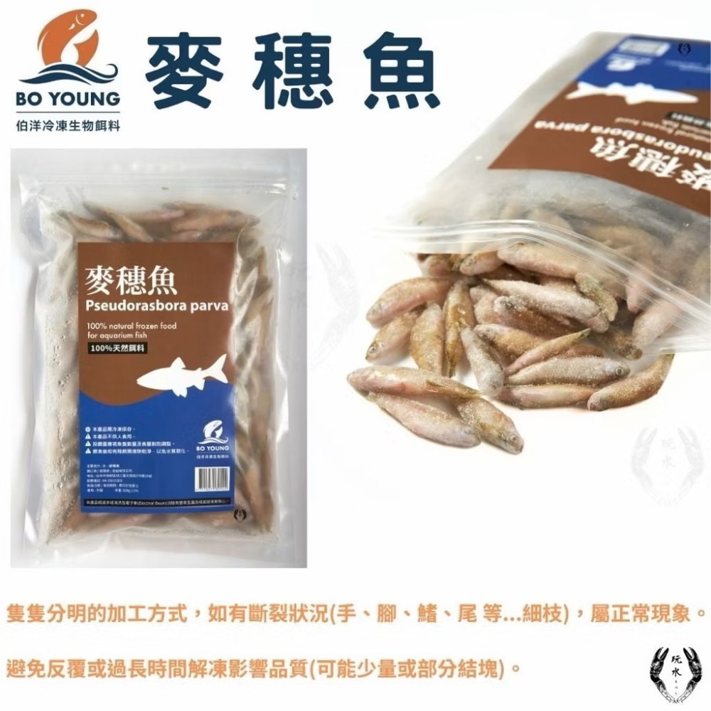 「玩水養蝦人」冷凍飼料 伯洋 冷凍餌料 飼料 觀賞魚 龍魚 雷龍 林蛙 泥鰍 麥穗魚 鰕虎 河蝦 鴨嘴 恐龍 大型魚-細節圖6