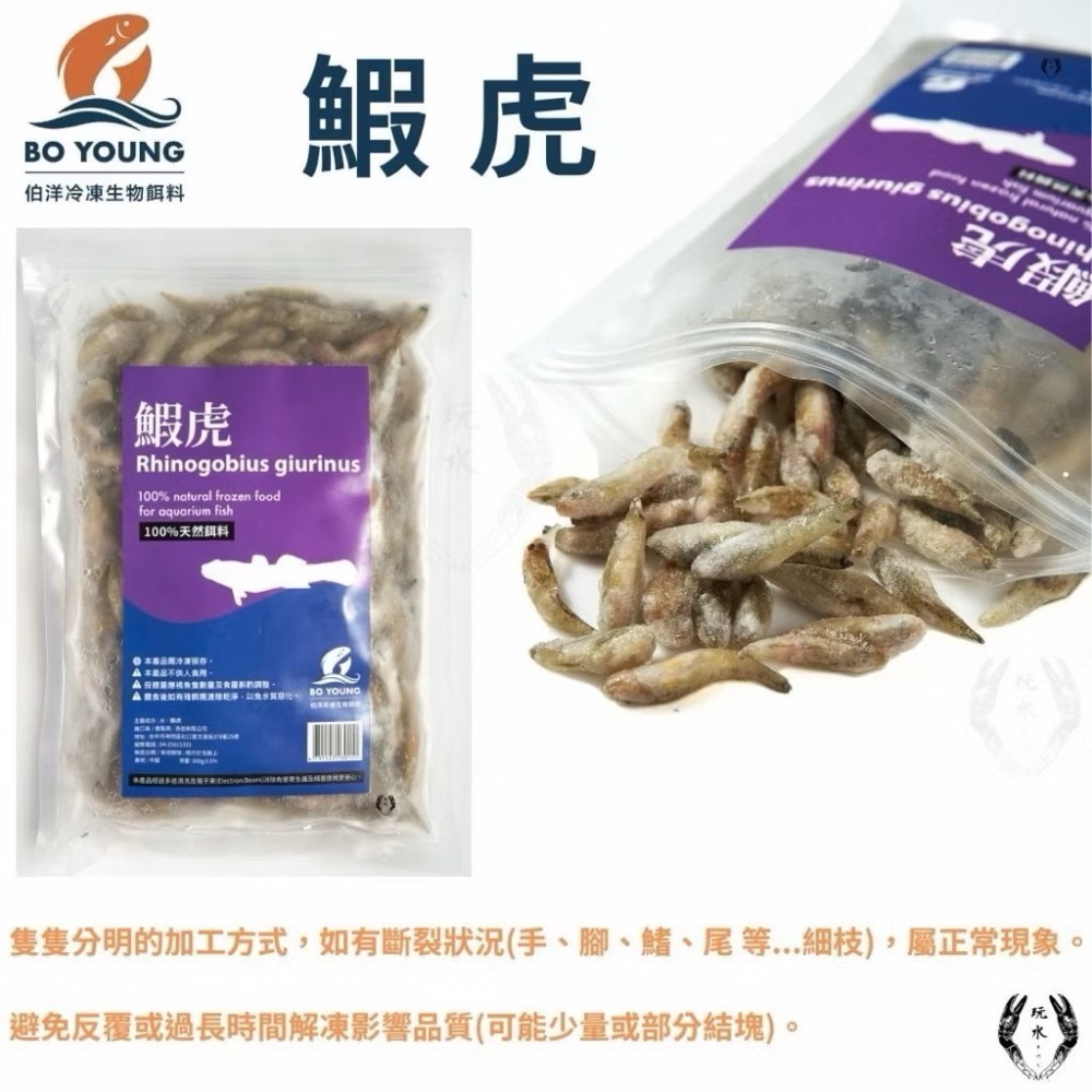 「玩水養蝦人」冷凍飼料 伯洋 冷凍餌料 飼料 觀賞魚 龍魚 雷龍 林蛙 泥鰍 麥穗魚 鰕虎 河蝦 鴨嘴 恐龍 大型魚-細節圖7