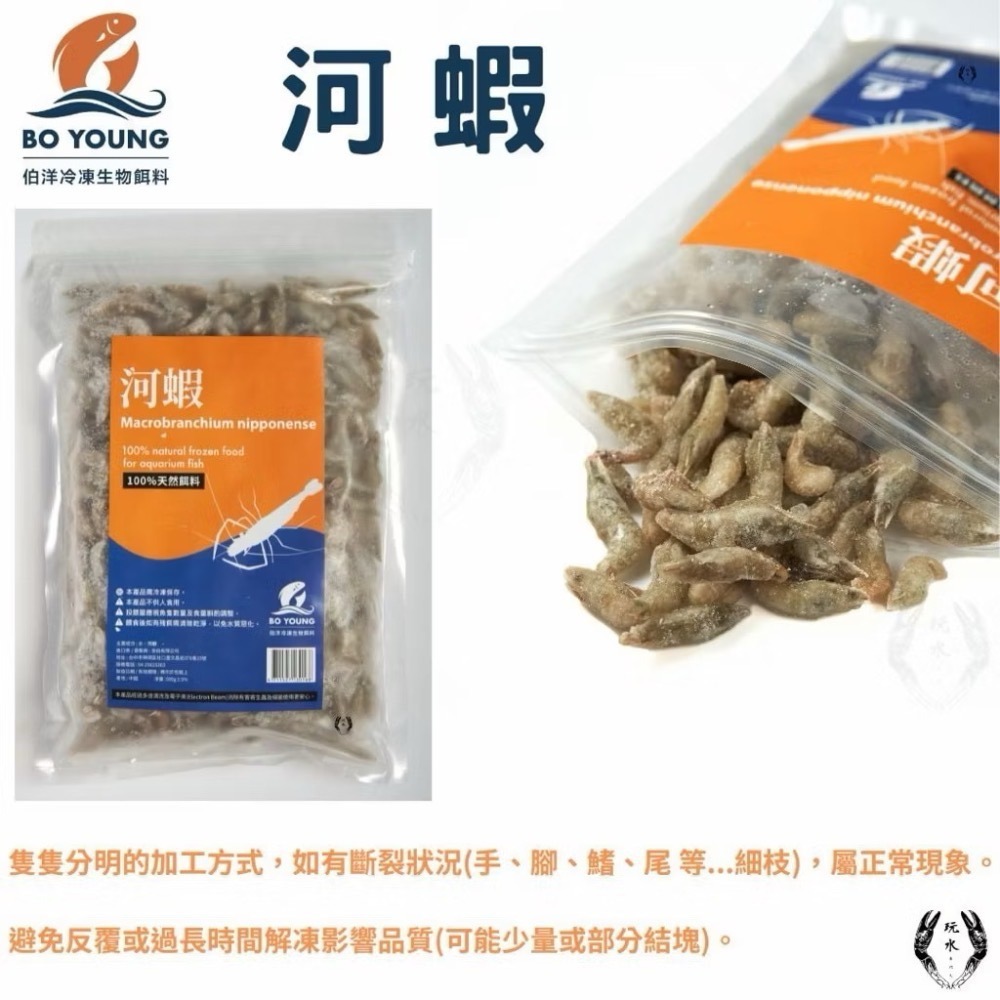「玩水養蝦人」冷凍飼料 伯洋 冷凍餌料 飼料 觀賞魚 龍魚 雷龍 林蛙 泥鰍 麥穗魚 鰕虎 河蝦 鴨嘴 恐龍 大型魚-細節圖8