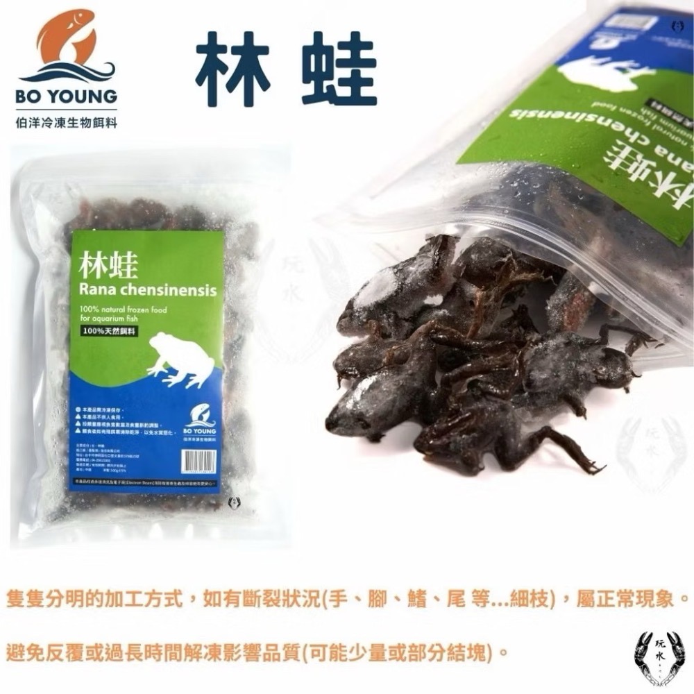 「玩水養蝦人」冷凍飼料 伯洋 冷凍餌料 飼料 觀賞魚 龍魚 雷龍 林蛙 泥鰍 麥穗魚 鰕虎 河蝦 鴨嘴 恐龍 大型魚-規格圖8