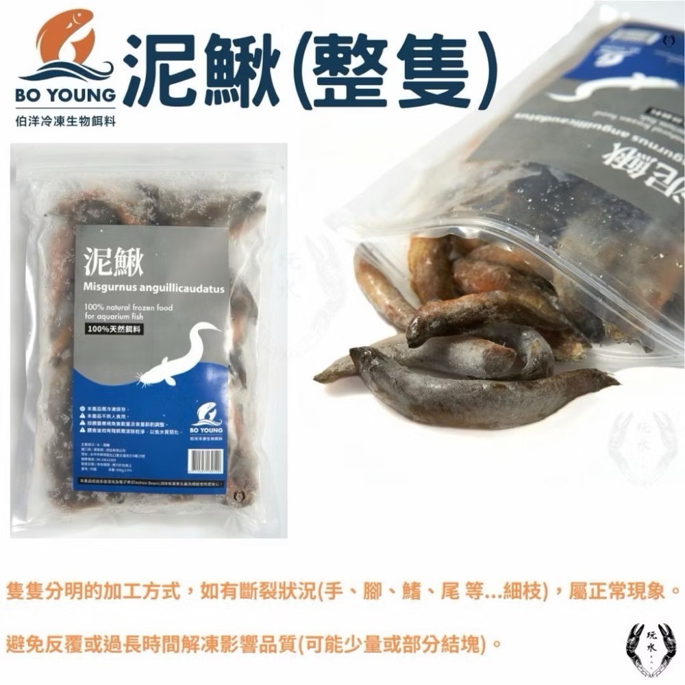 「玩水養蝦人」冷凍飼料 伯洋 冷凍餌料 飼料 觀賞魚 龍魚 雷龍 林蛙 泥鰍 麥穗魚 鰕虎 河蝦 鴨嘴 恐龍 大型魚-規格圖8
