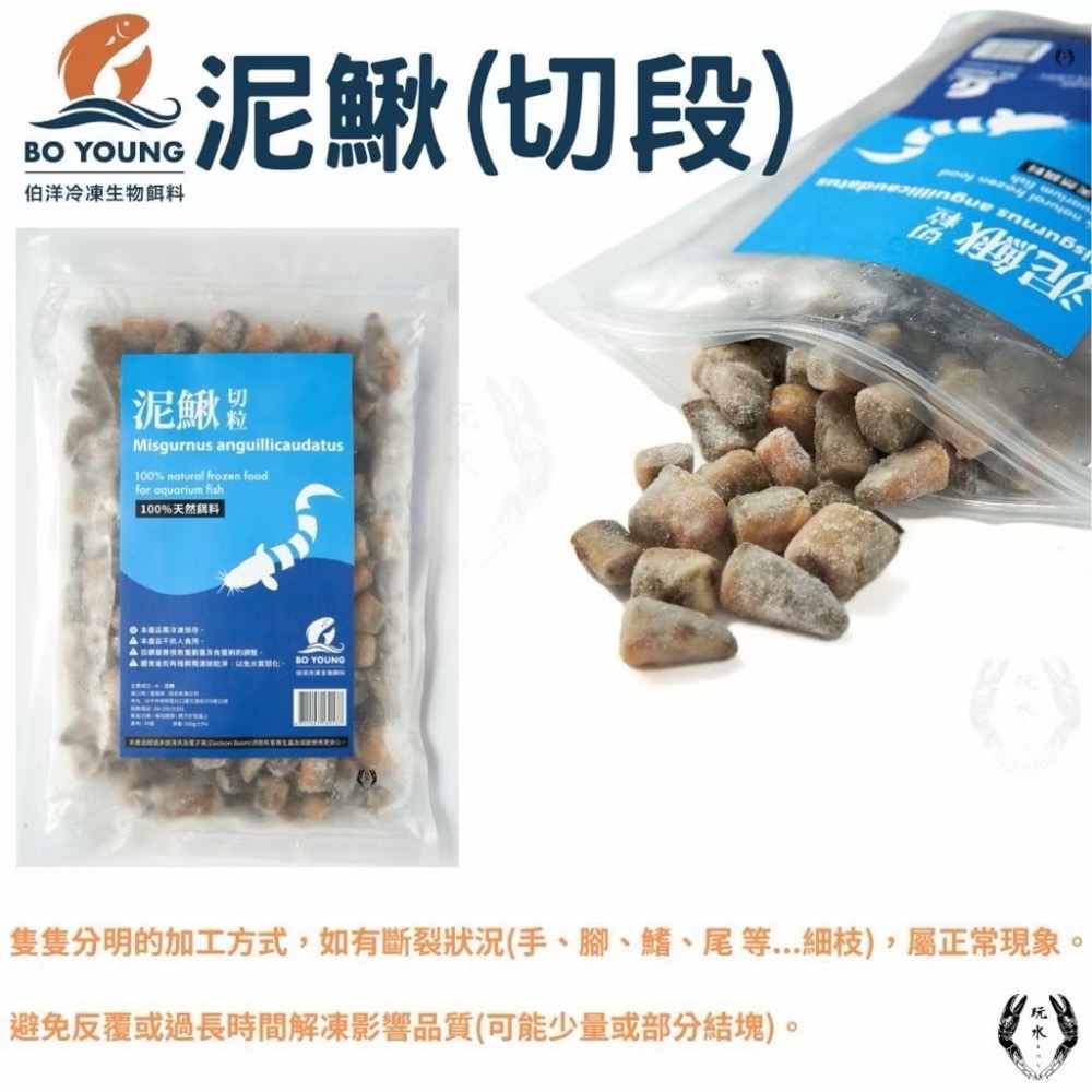 「玩水養蝦人」冷凍飼料 伯洋 冷凍餌料 飼料 觀賞魚 龍魚 雷龍 林蛙 泥鰍 麥穗魚 鰕虎 河蝦 鴨嘴 恐龍 大型魚-規格圖8
