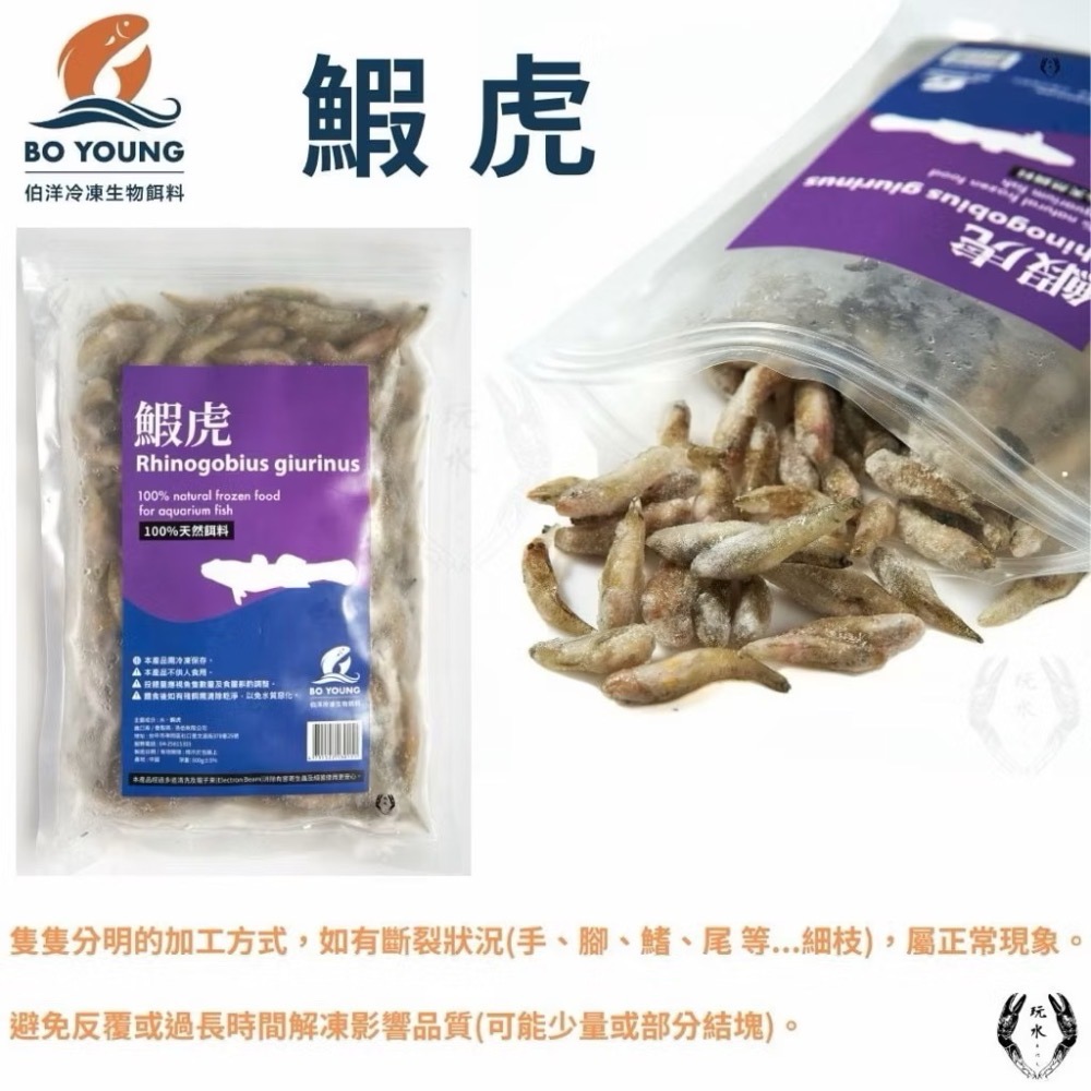 「玩水養蝦人」冷凍飼料 伯洋 冷凍餌料 飼料 觀賞魚 龍魚 雷龍 林蛙 泥鰍 麥穗魚 鰕虎 河蝦 鴨嘴 恐龍 大型魚-規格圖8