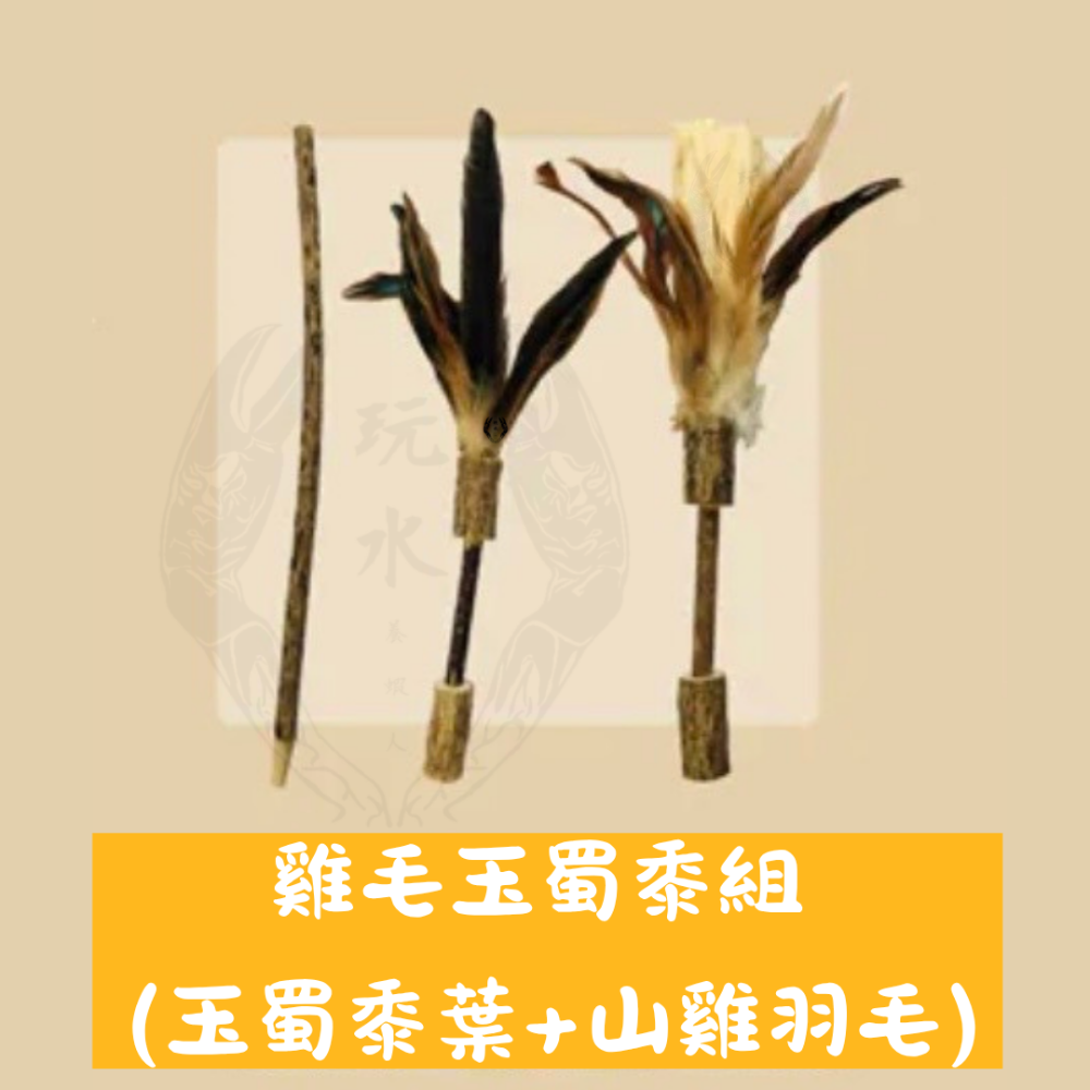 「玩水養蝦人」貓咪旺農場 DIY組合式羽毛木天蓼逗貓棒 天然逗貓棒  玉蜀黍葉 孔雀羽毛 山雞羽毛 組合玩具-細節圖4