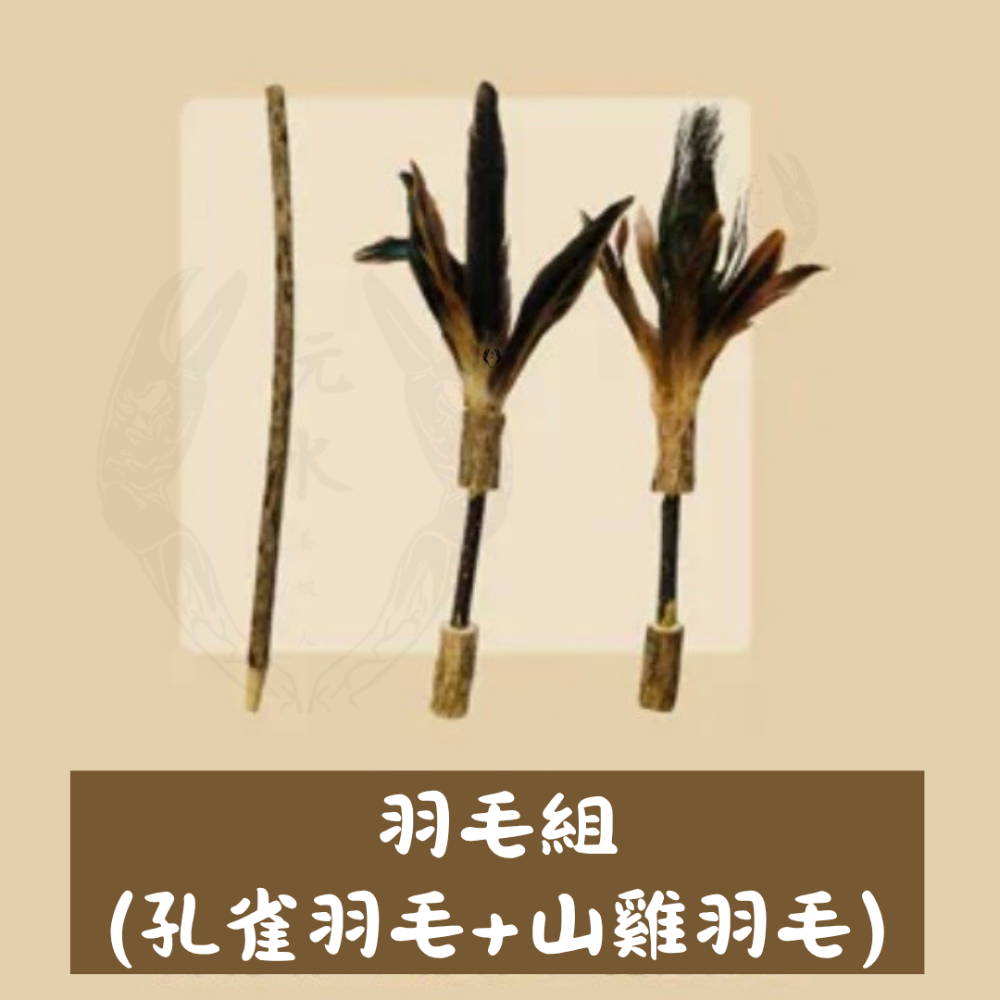 「玩水養蝦人」貓咪旺農場 DIY組合式羽毛木天蓼逗貓棒 天然逗貓棒  玉蜀黍葉 孔雀羽毛 山雞羽毛 組合玩具-規格圖4