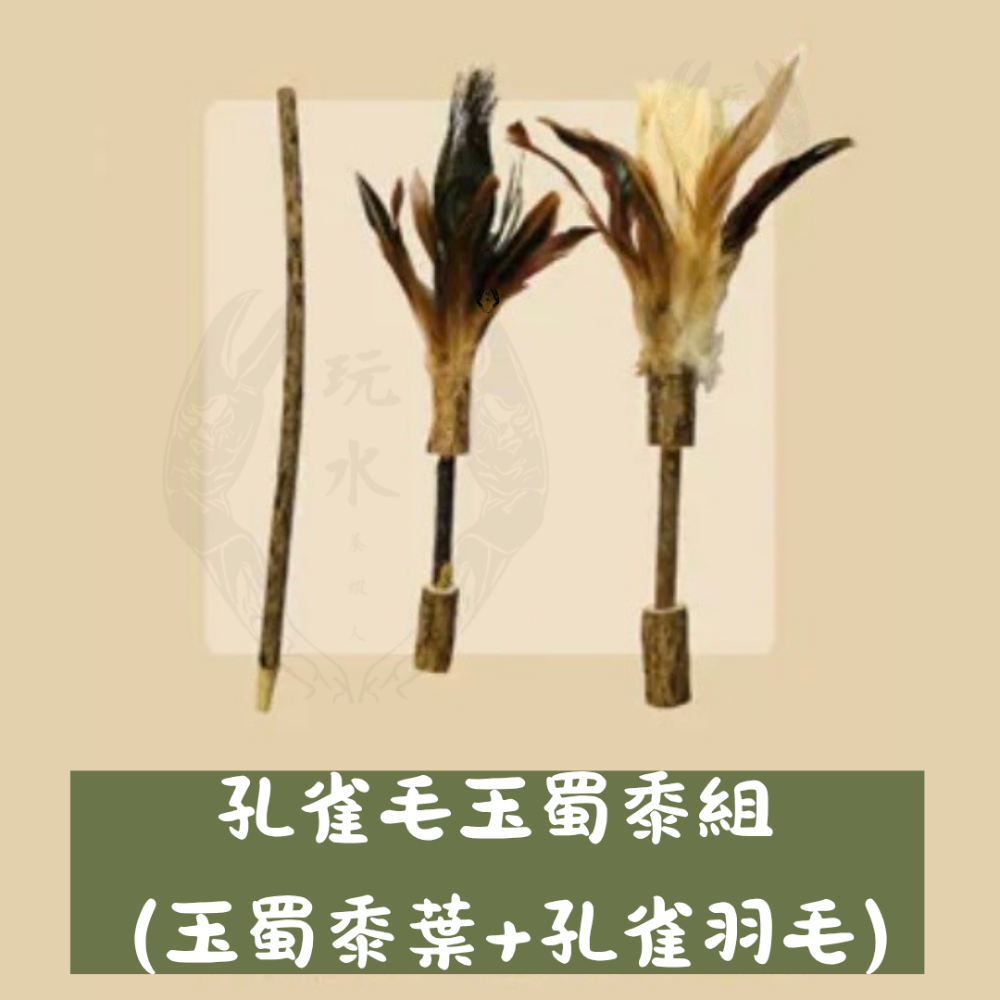 「玩水養蝦人」貓咪旺農場 DIY組合式羽毛木天蓼逗貓棒 天然逗貓棒  玉蜀黍葉 孔雀羽毛 山雞羽毛 組合玩具-規格圖4