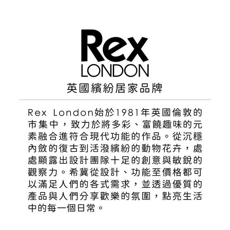 《Rex LONDON》圖騰餐碗(火花黃11.5cm) | 飯碗 湯碗-細節圖5