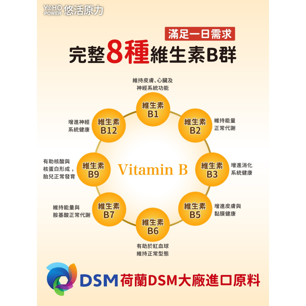 【悠活原力】緩釋長效 綜合維生素B群 緩釋膜衣錠 (60粒/瓶) TTFD 合利他命 B12 原力B群 吳淡如推薦-細節圖5