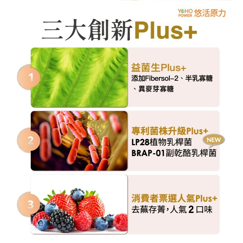 【悠活原力 】敏立清Plus益生菌（30條）-乳酸原味-細節圖5