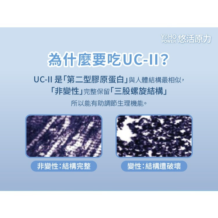 【悠活原力】悠活關健複方膠囊UC-ll+玻尿酸（30粒）-細節圖4