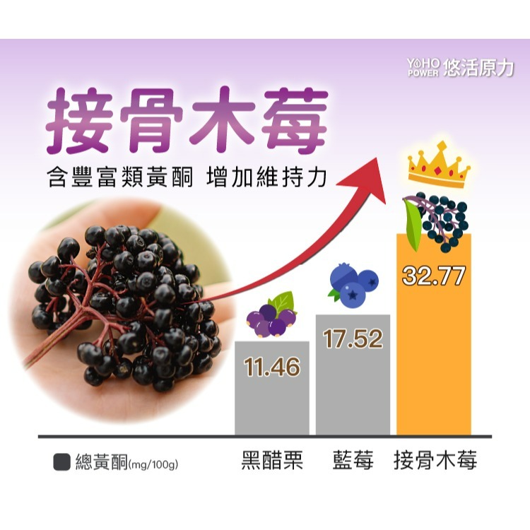 【悠活原力】小悠活兒童多醣體咀嚼錠（30粒）-細節圖8