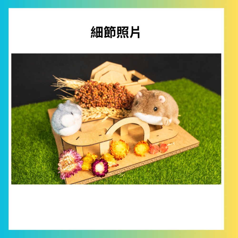 ▍寵小眾 ▍果果樂園 ▍倉鼠 黃金鼠適用 ▍寵物 紙品 玩具 躲藏 探索-細節圖6
