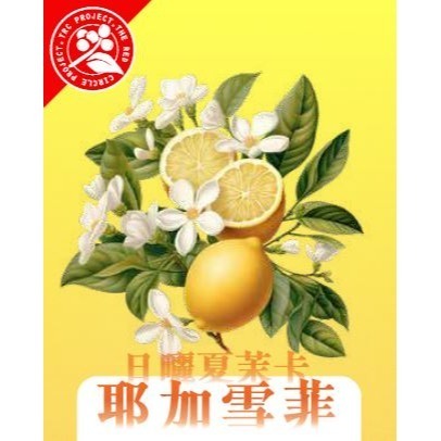 衣索比亞 古吉茉香柚烏拉嘎 TOP 水洗G1  / 耶加雪菲夏茉卡 74110 TOP 日曬G1  #精品咖啡豆-細節圖3