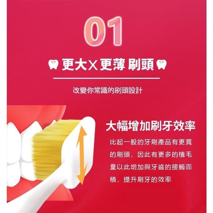 【台灣現貨 日本原裝進口】日本惠百施牙刷 Ebisu 牙刷 優質倍護寬幅牙刷 寬版牙刷 國民牙刷 成人牙刷-細節圖4
