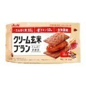 【日本原裝進口 台灣現貨】Asahi 朝日 代餐餅乾 玄米餅乾 夾心餅乾 登山 露營 運動 餅乾 日本零食-規格圖4