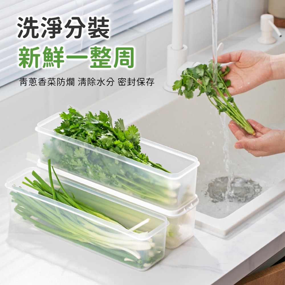 【台灣現貨 台灣出貨】長條形保鮮盒 麵條收納盒 多用途保鮮盒 長形保鮮盒 筷子收納 餐具收納 蔥香菜收納盒-細節圖3