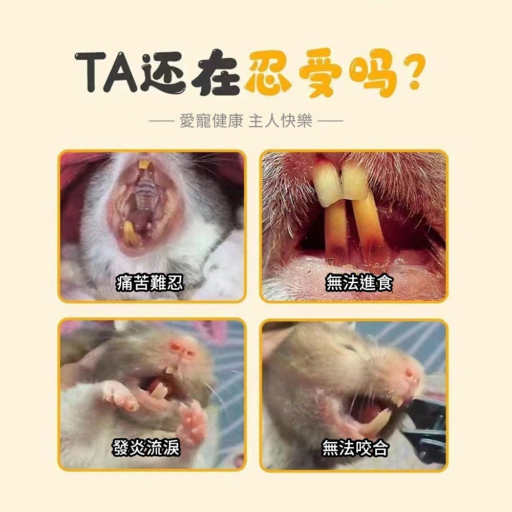 🇹🇼台灣現貨 小寵磨牙石 火山岩 牙石 倉鼠磨牙 磨牙防咬 火山磨牙石 天竺鼠 黃金鼠 老鼠磨牙石 磨牙-細節圖3