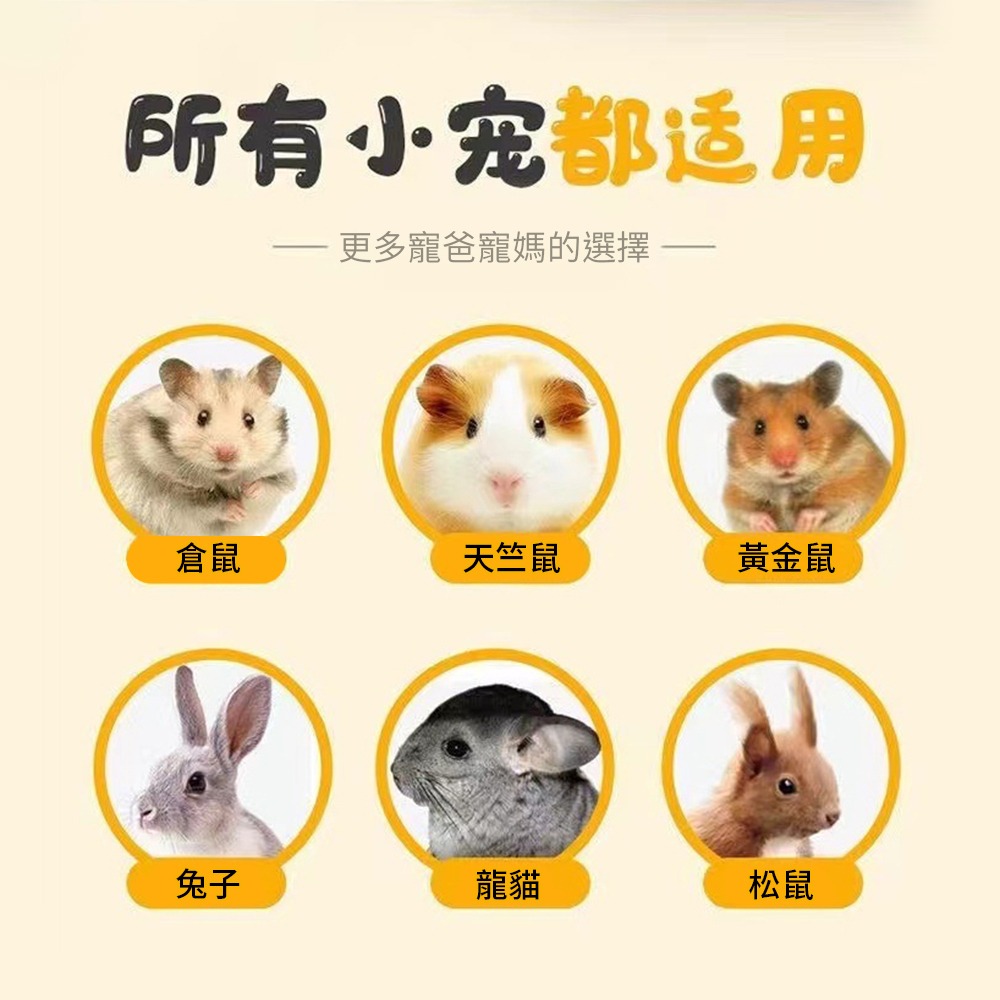 🇹🇼台灣現貨 小寵磨牙石 火山岩 牙石 倉鼠磨牙 磨牙防咬 火山磨牙石 天竺鼠 黃金鼠 老鼠磨牙石 磨牙-細節圖5