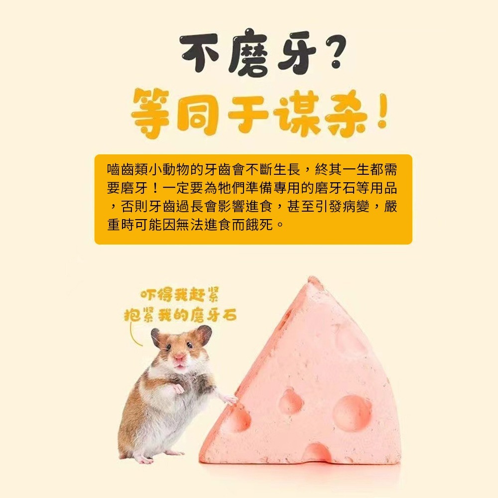 🇹🇼台灣現貨 小寵磨牙石 火山岩 牙石 倉鼠磨牙 磨牙防咬 火山磨牙石 天竺鼠 黃金鼠 老鼠磨牙石 磨牙-細節圖2