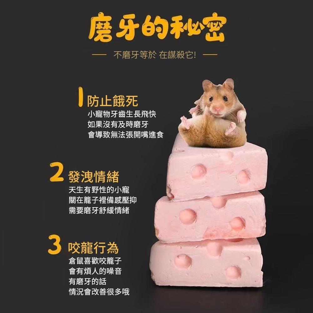 🇹🇼台灣現貨 小寵磨牙石 火山岩 牙石 倉鼠磨牙 磨牙防咬 火山磨牙石 天竺鼠 黃金鼠 老鼠磨牙石 磨牙-細節圖4