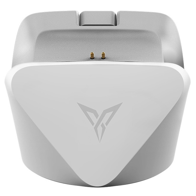 【BSMI免驗】飛智 FLYDIGI 手把充電底座2 適用冰原狼4 搖桿充電底座 磁吸座充 信星科技-細節圖2