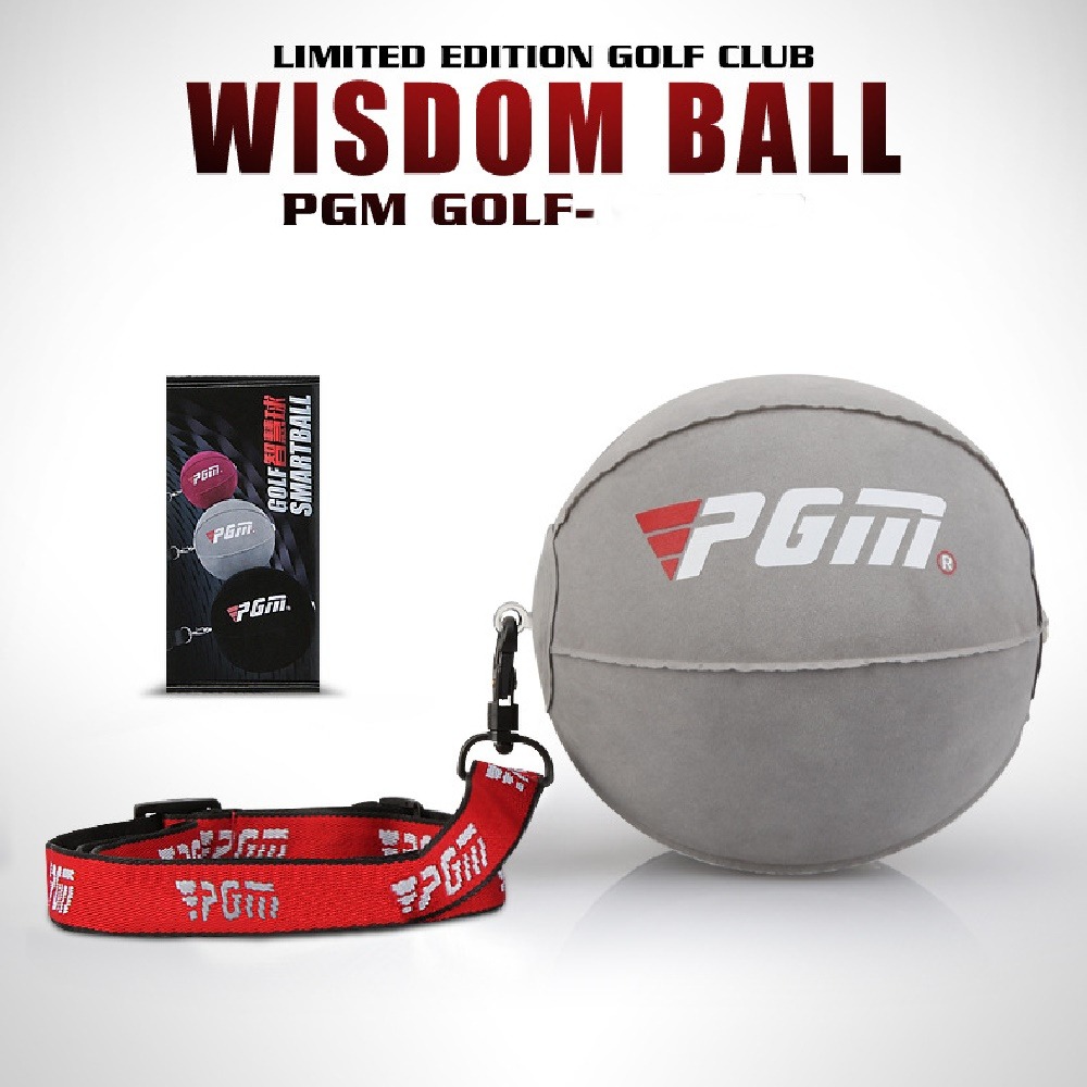 PGM高爾夫智慧球 揮桿練習器 輔助手臂糾正器-細節圖6