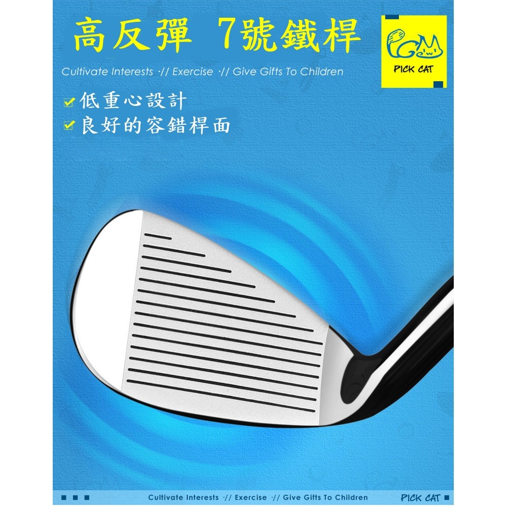 PGM 7號鐵桿 碳鋼桿 鋅合金頭 初級揮桿訓練6~8 age-細節圖5