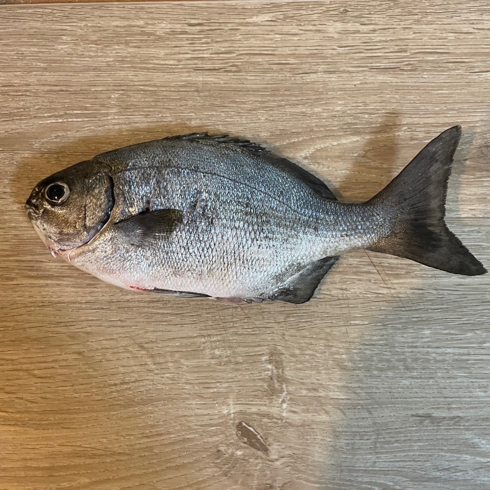 森海生鮮-細節圖2