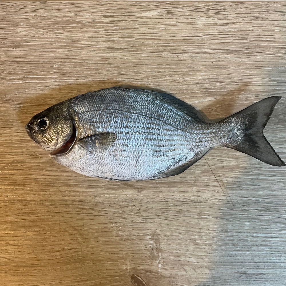 森海生鮮-細節圖3